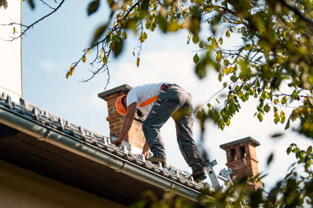 Best Slate Roofing Contractor  in Grayvle, IL