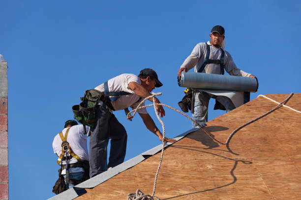 Roof Gutter Cleaning in Grayville, IL
