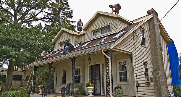 Best Flat Roof Repair Services  in Grayvle, IL